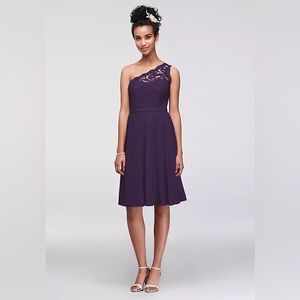 David’s Bridal Purple lace and chiffon one shoulder bridesmaids dress size 2